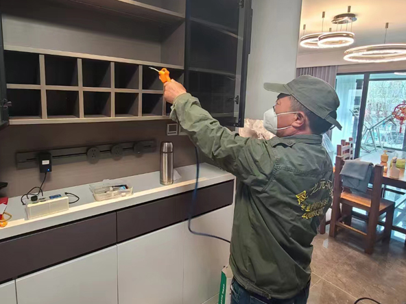 市北區(qū)保利大國璟負母嬰級負氧離子空氣凈化除甲醛除異味